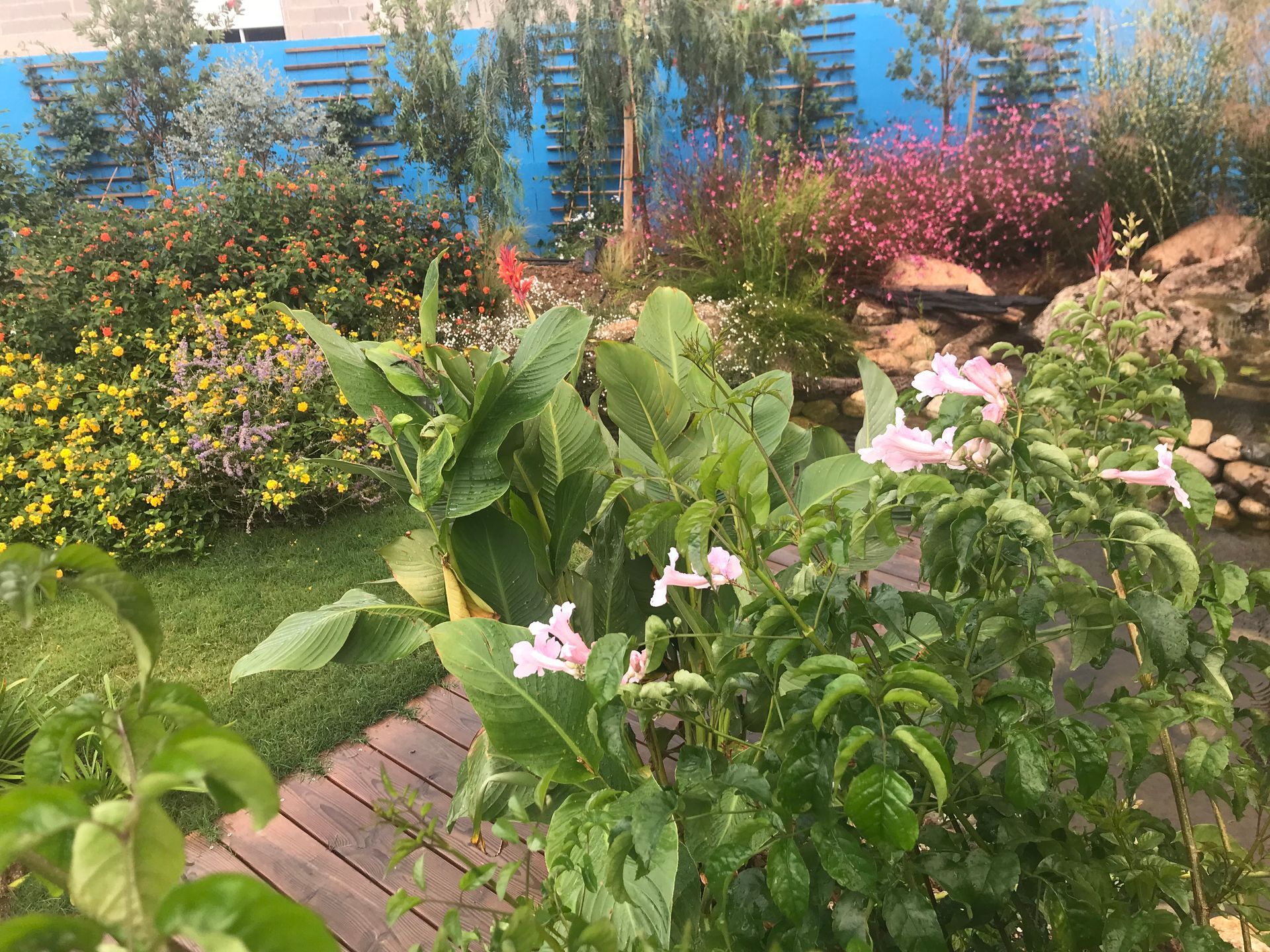 Gros plan sur des fleurs rose pâle