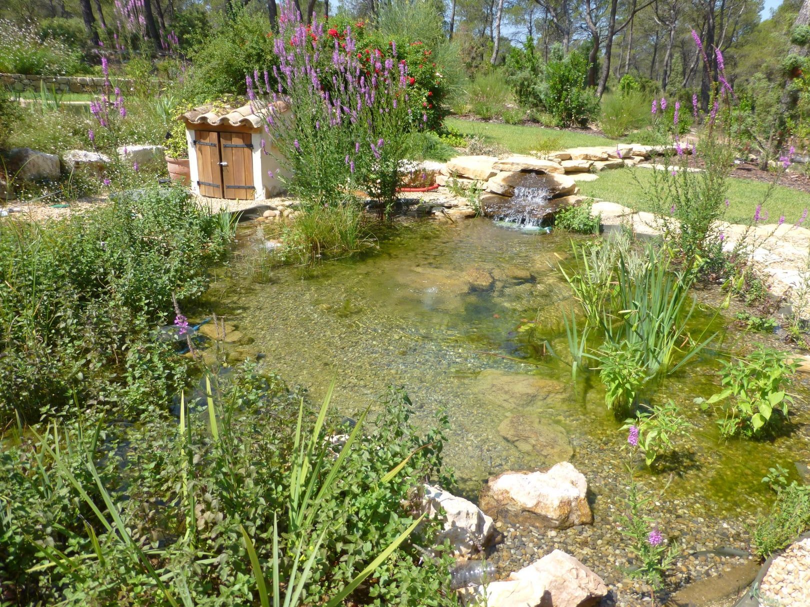 Grand bassin de décoration avec des plantations, une cascade et une petite construction