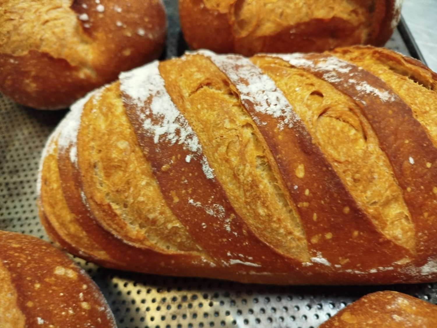 Panes artesanales frescos, de corteza dorada y crujiente, con cortes espolvoreados con harina.
