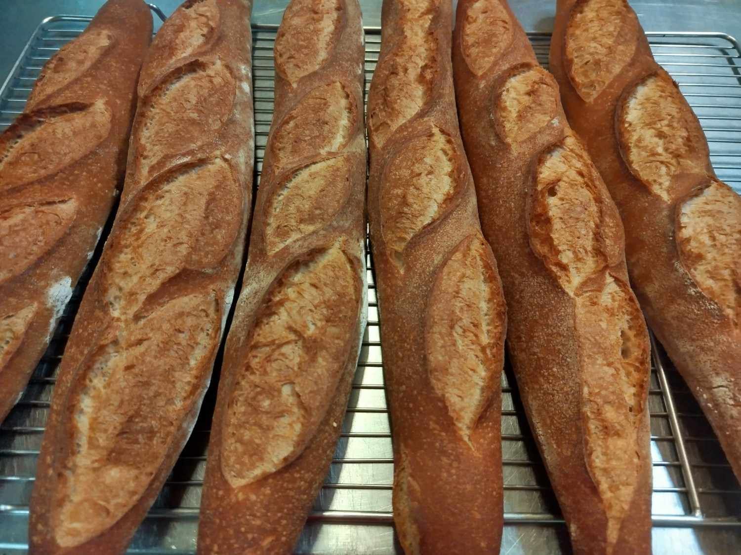 Seis baguettes de color marrón dorado con cortes decorativos, enfriándose sobre una rejilla metálica.