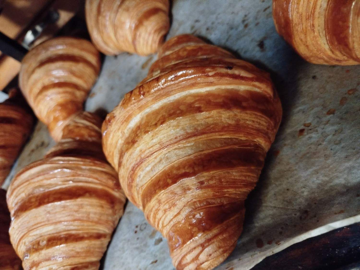 Una bandeja de croissants recién horneados, dorados y con capas hojaldradas visibles.