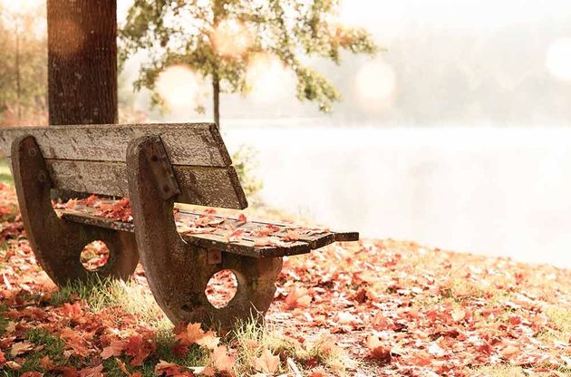 Eine mit Laub bedeckte Parkbank aus Holz mit Blick auf einen See an einem Herbsttag.