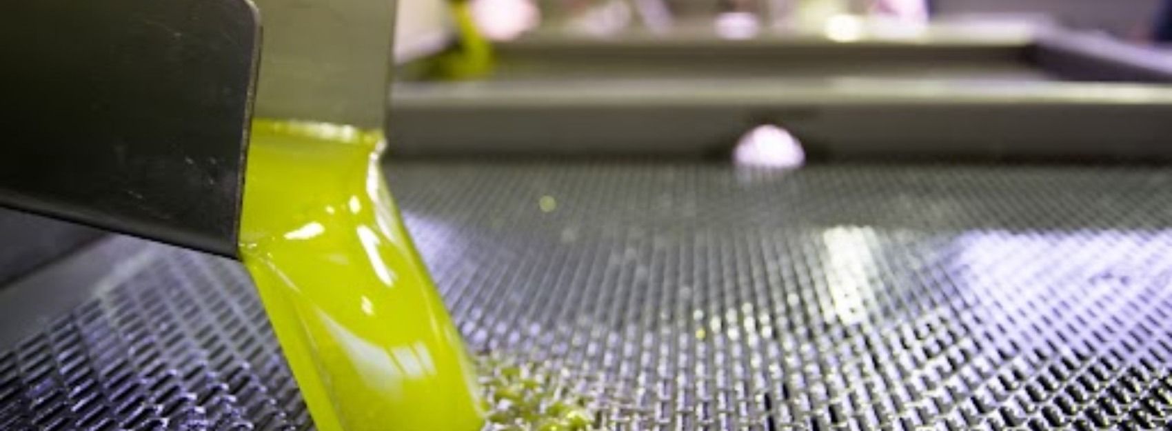 En una fábrica se vierte aceite de oliva en un colador.