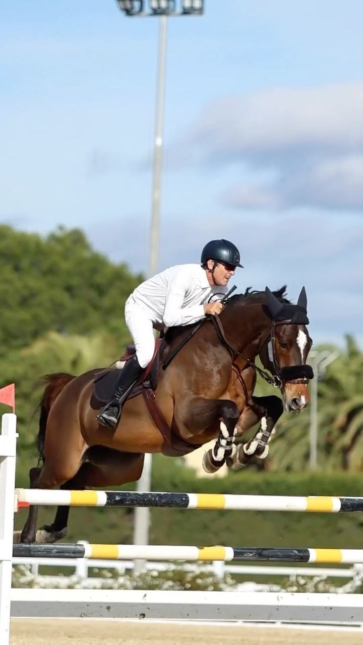 Un jinete sobre un caballo marrón salta sobre una barandilla de rayas amarillas y negras en una competición ecuestre al aire libre.