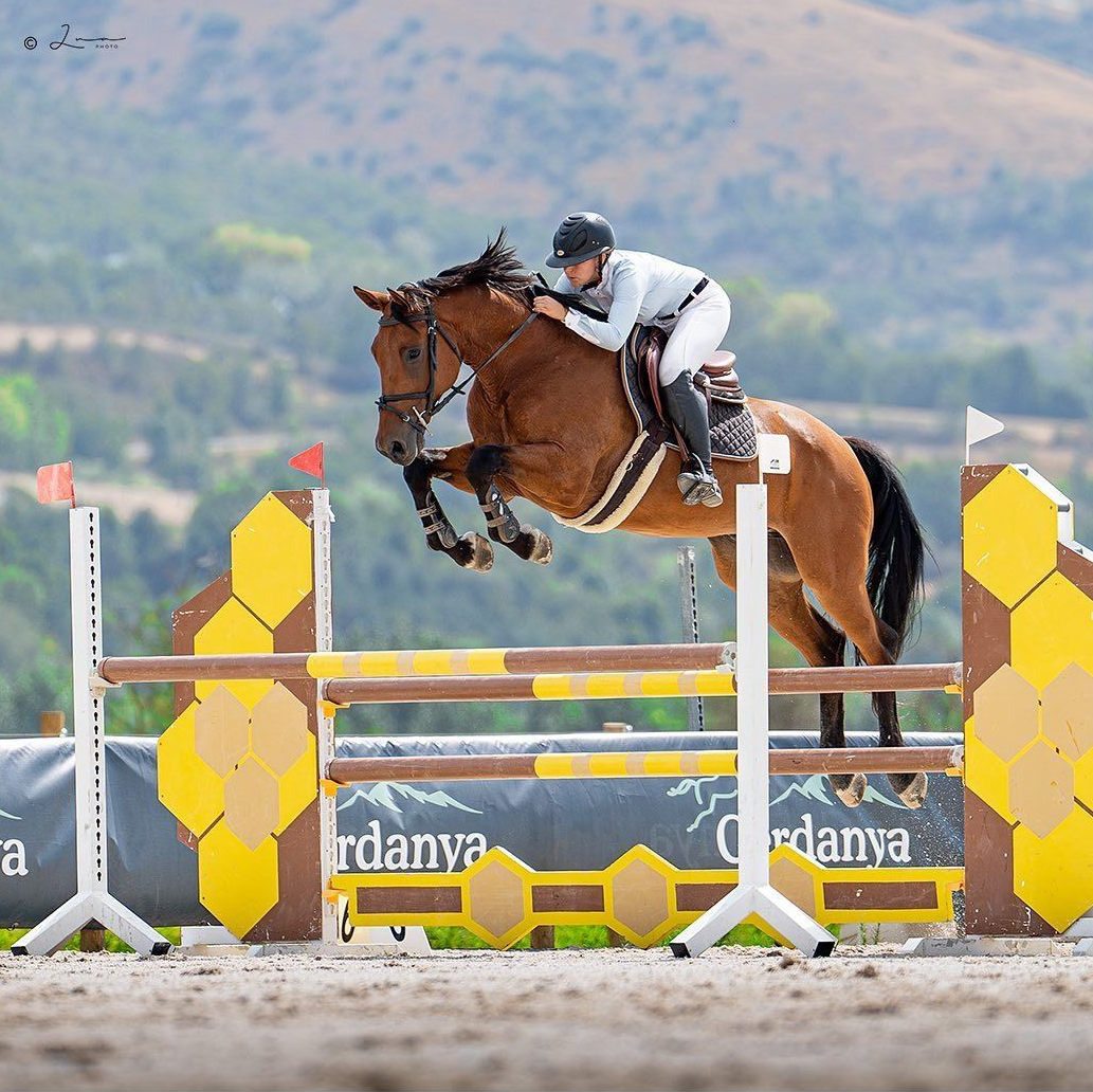 Jinete ecuestre sobre un caballo marrón saltando un obstáculo decorativo en una competición al aire libre.