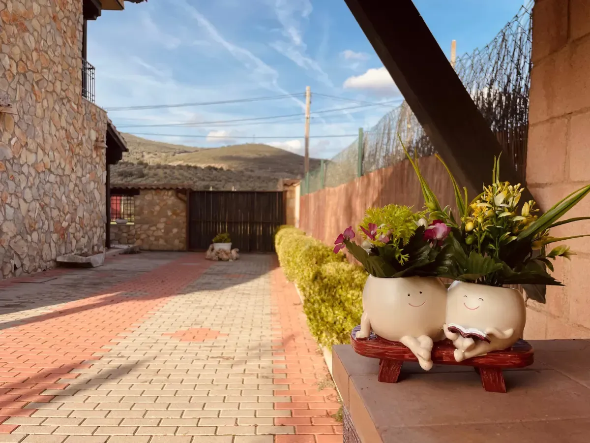 Dos macetas extravagantes sobre un banco rojo, en un patio de ladrillo, con un fondo de montaña.