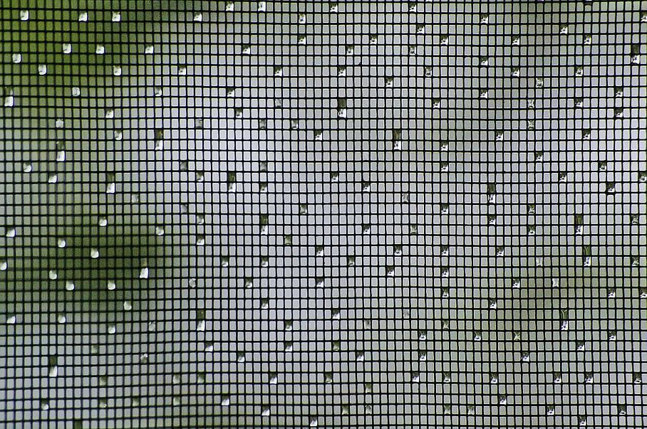 Vue à travers une moustiquaire sur un feuillage vert et un ciel pâle, avec des gouttes de pluie sur la vitre.