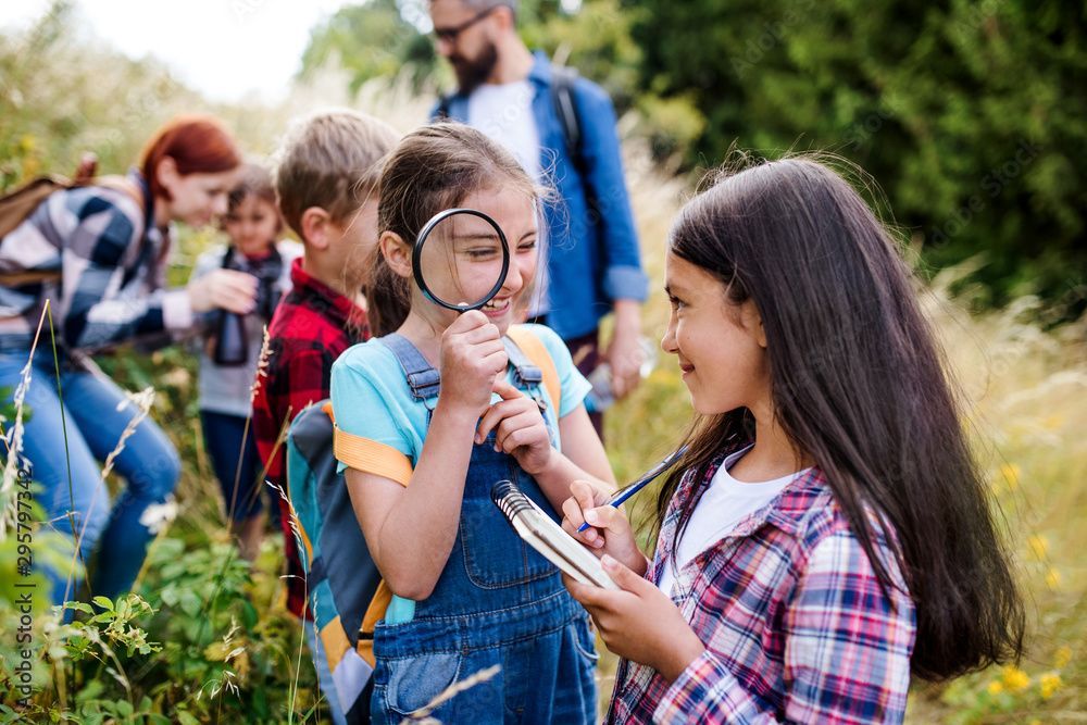Bambini che usano lenti d'ingrandimento all'aperto tra i fiori selvatici