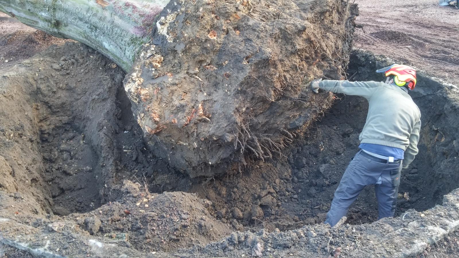 Déssouchage mécanique