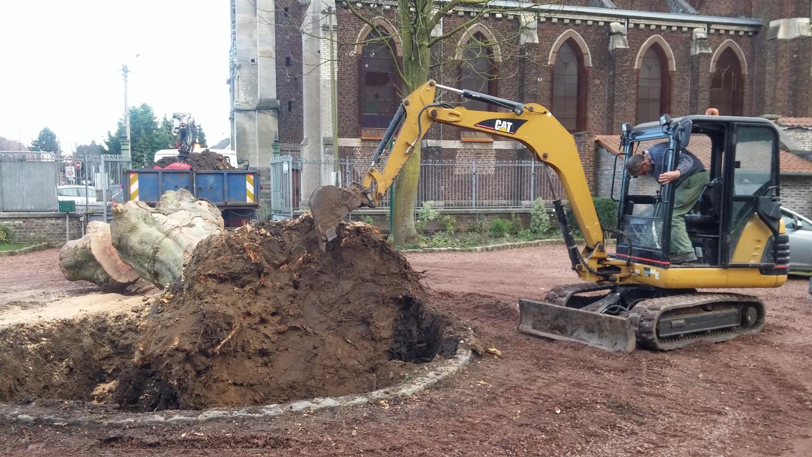 Souche retirée avec une pelleteuse