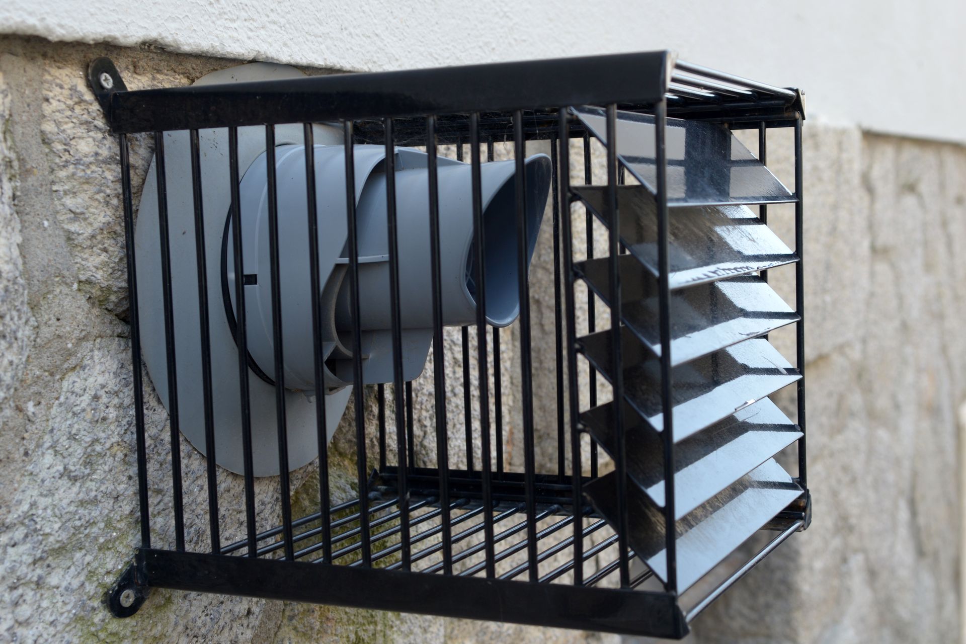 Grille de protection murale en métal noir pour ventilateur à pales bleues, fixée sur un mur en béton.