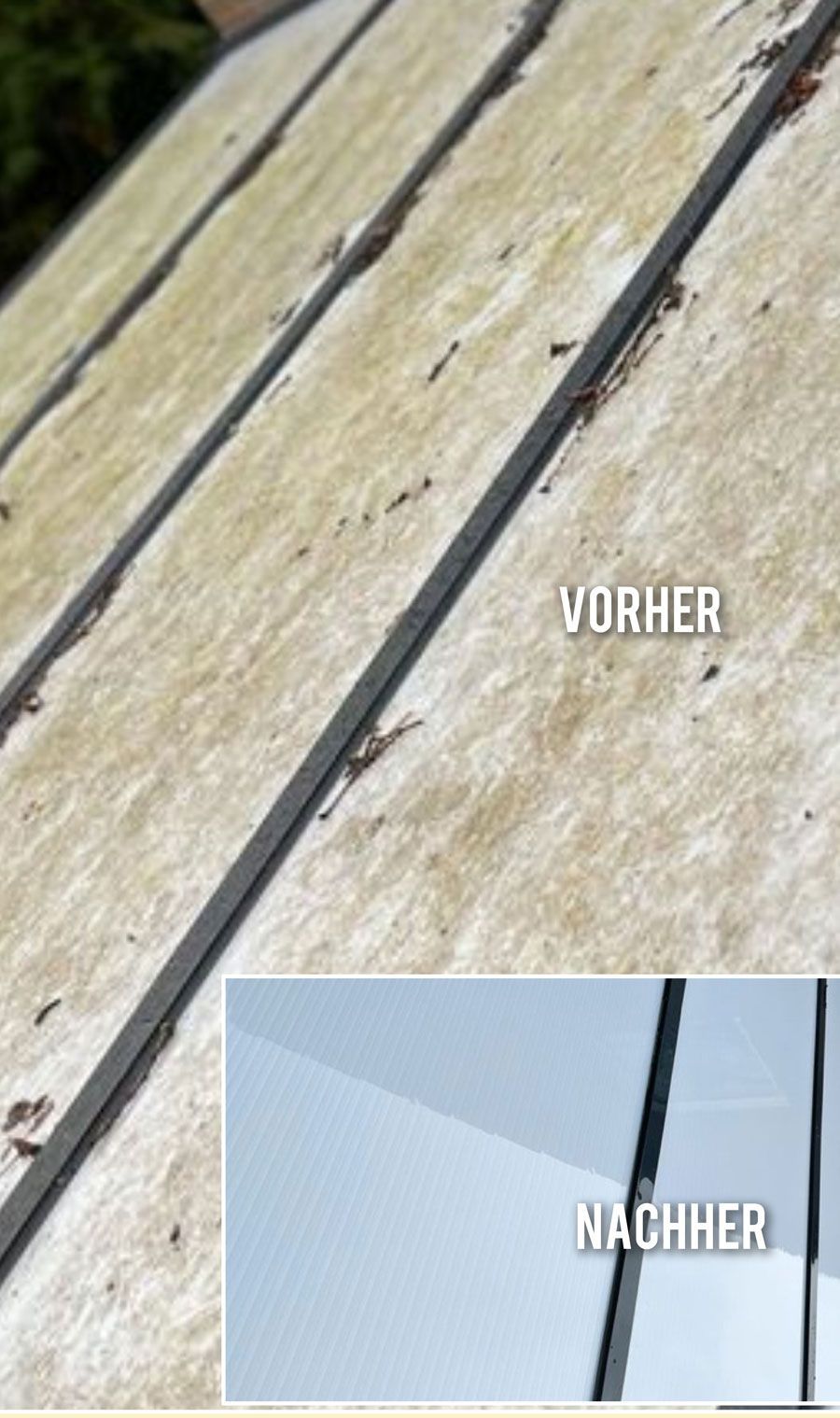 Gebäudereinigung Henk