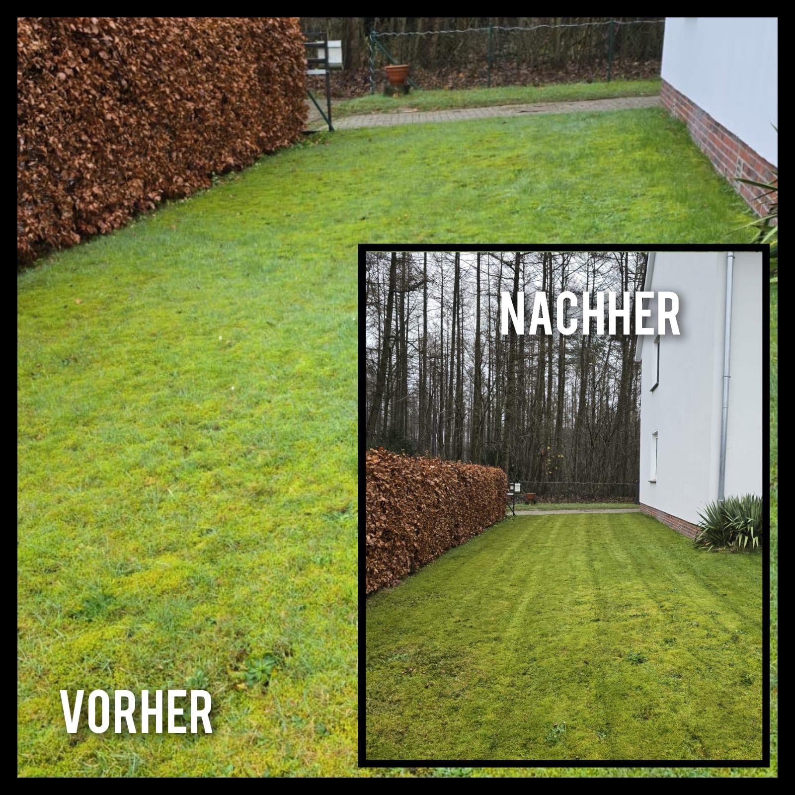 Ein Vorher-Nachher-Bild eines üppigen grünen Rasens