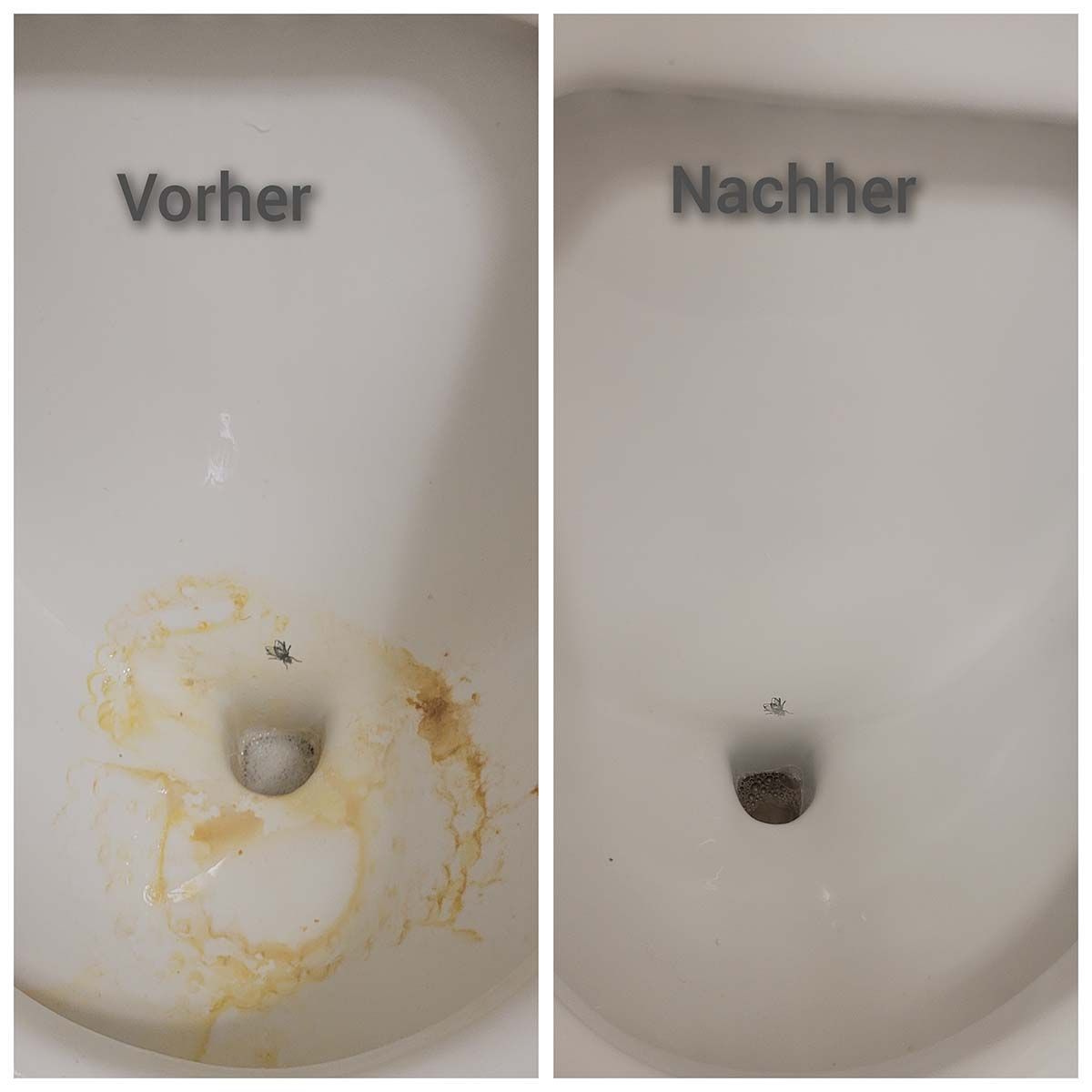 Gebäudereinigung Henk