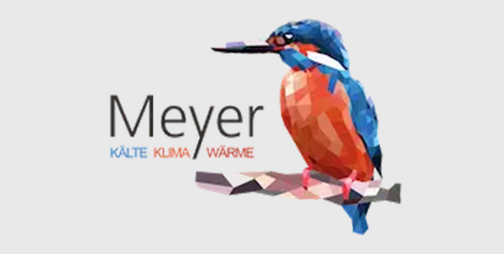 Meyer-Logo mit einem farbenfrohen Eisvogel, der auf einem Ast sitzt, und den Worten „KALE KİMYA“ und „WARME“ darunter