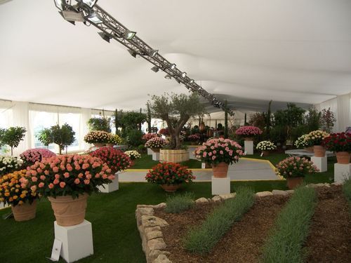 Chapiteau et fleurs pour notre évènement 