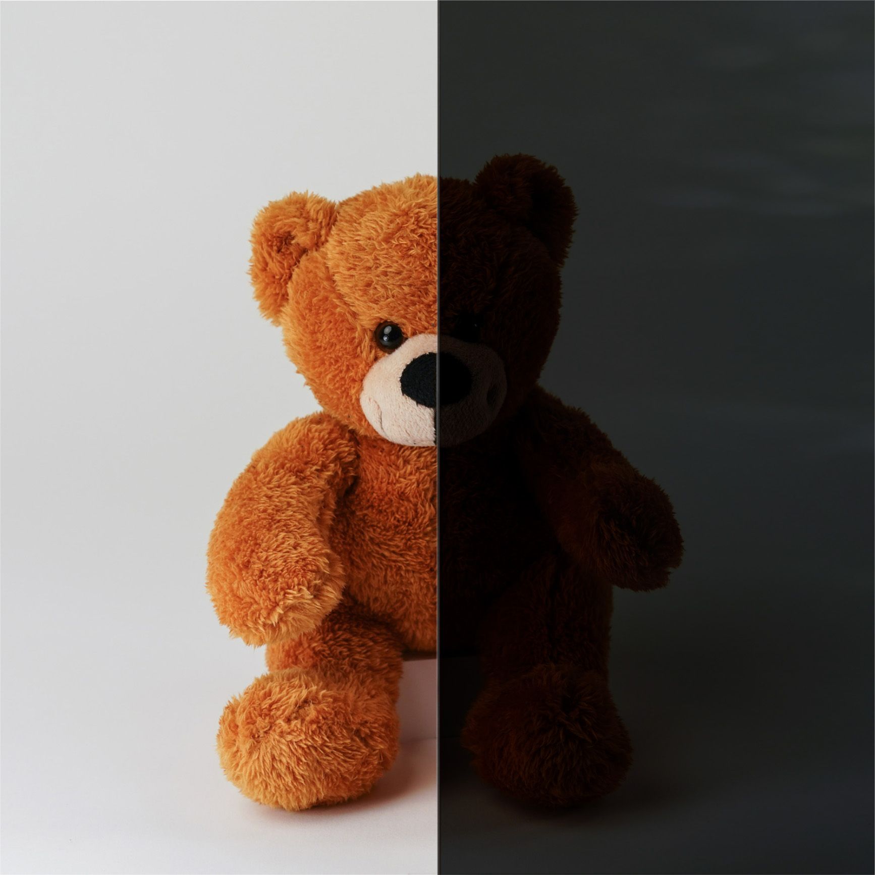 Brauner Teddybär, halb beleuchtet, halb im Schatten, auf weißem Hintergrund.
