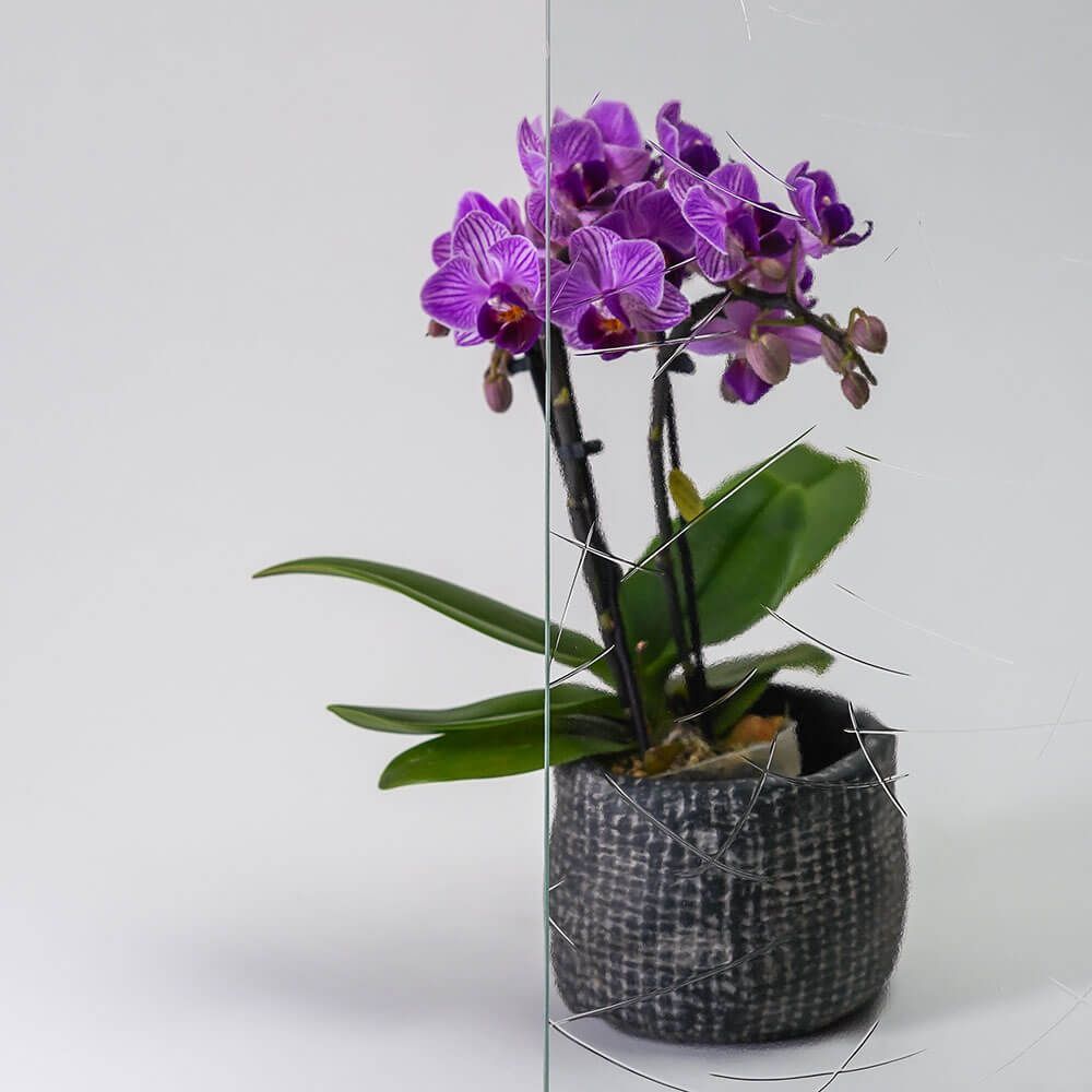 Lila Orchideen in einem grauen, gewebten Topf mit weißen Akzenten vor weißem Hintergrund.