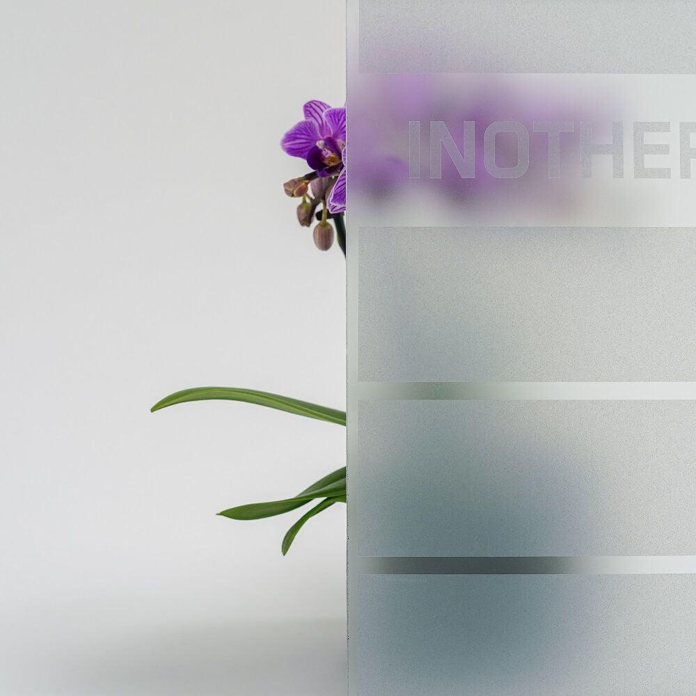 Eine violette Orchidee und grüne Blätter sind teilweise hinter mattiertem Glas mit horizontalen Streifen und dem Wort „another“ sichtbar.