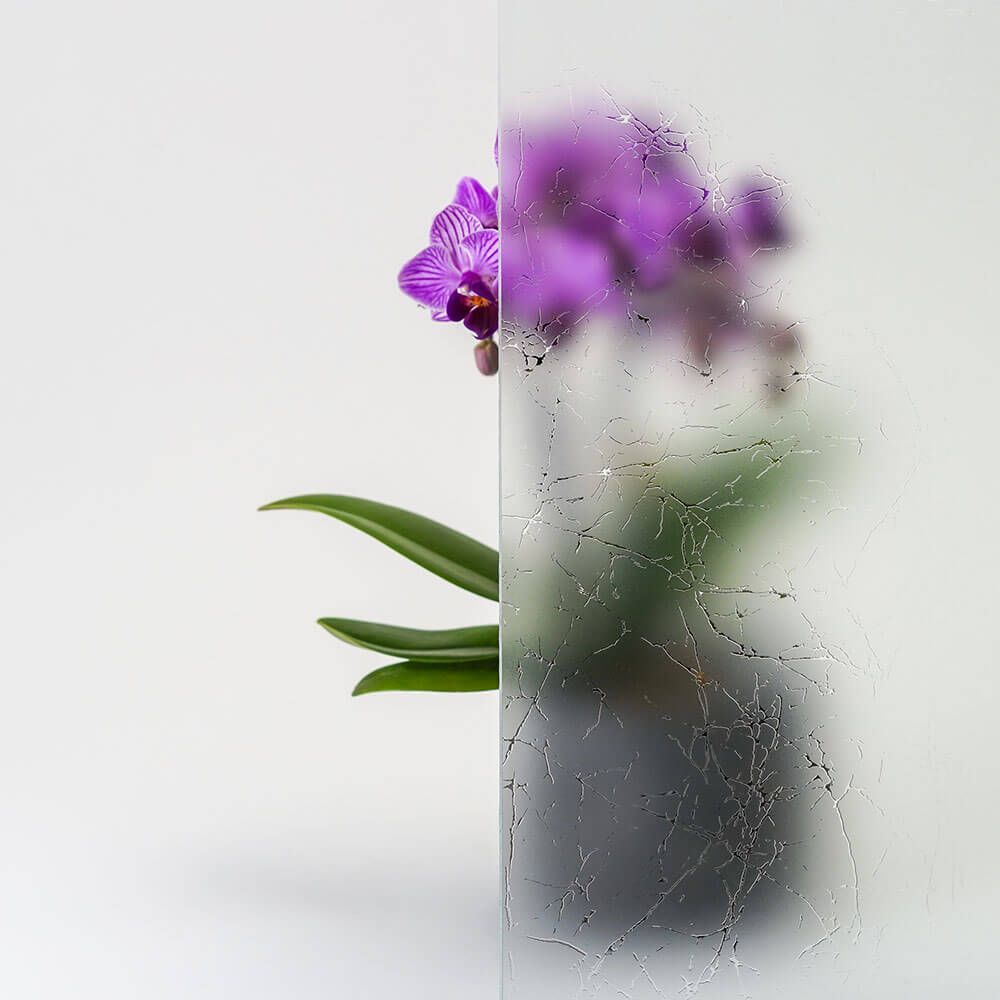 Lila Orchideenpflanze hinter Milchglas.