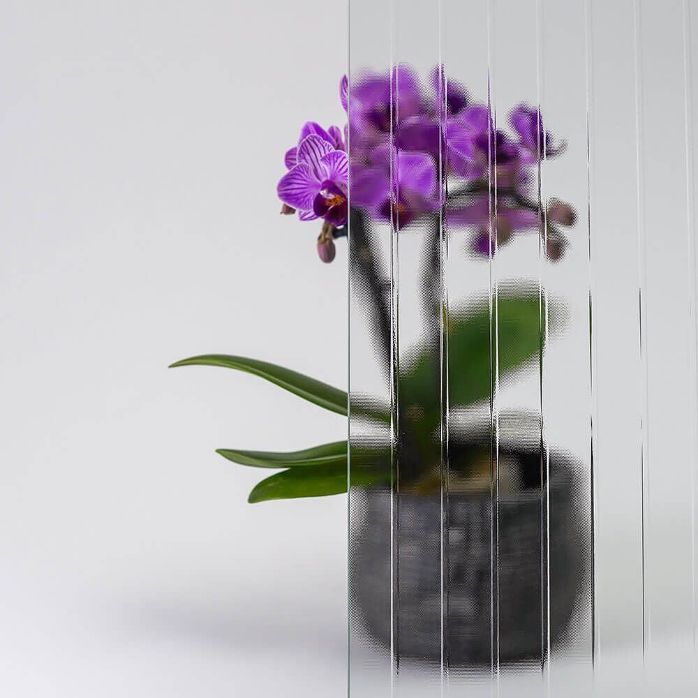 Lila Orchidee in einem schwarzen Topf, betrachtet durch vertikal gerilltes, strukturiertes Glas auf weißem Hintergrund.