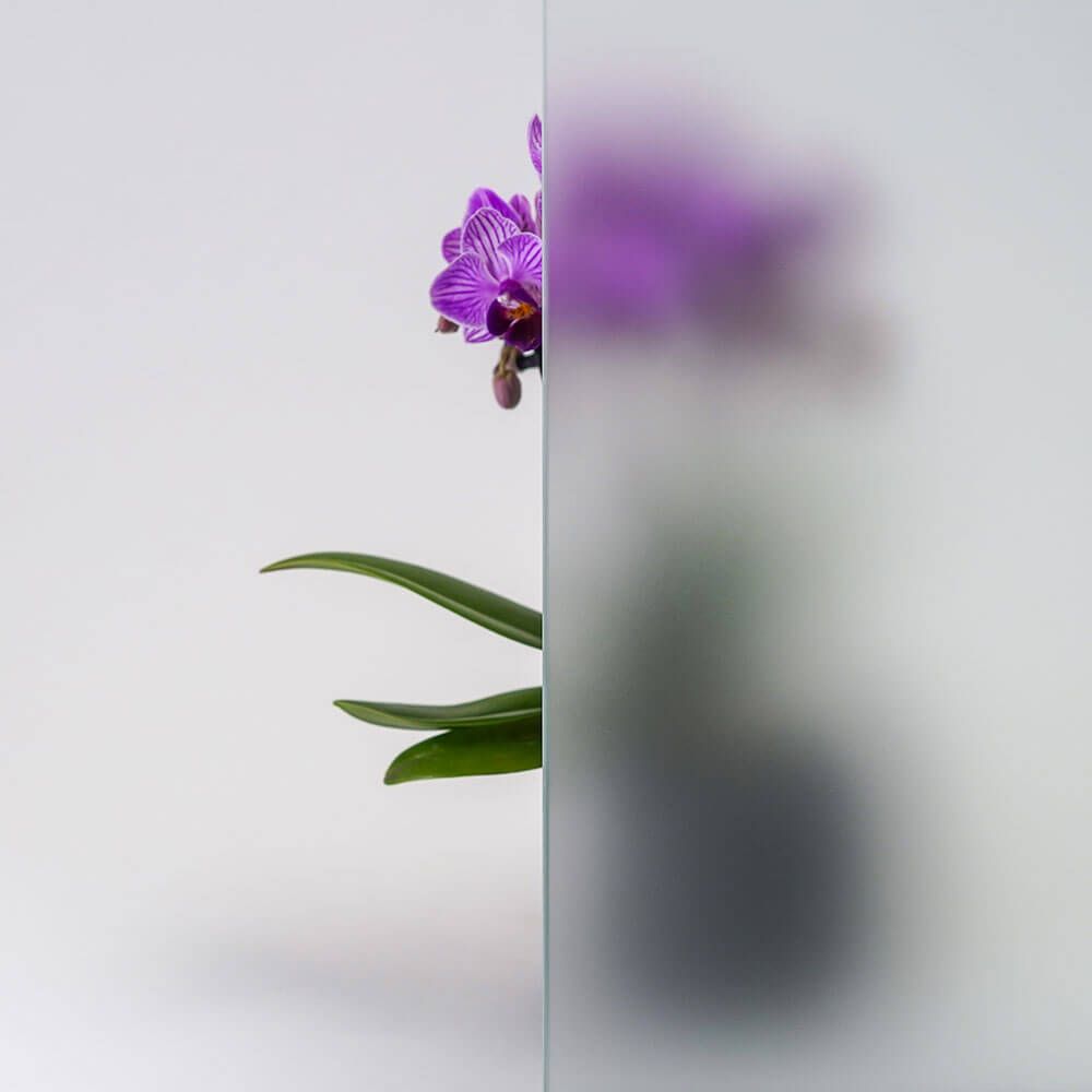 Violette Orchideenblüten und grüne Blätter neben einer mattierten Glasscheibe auf weißem Hintergrund.