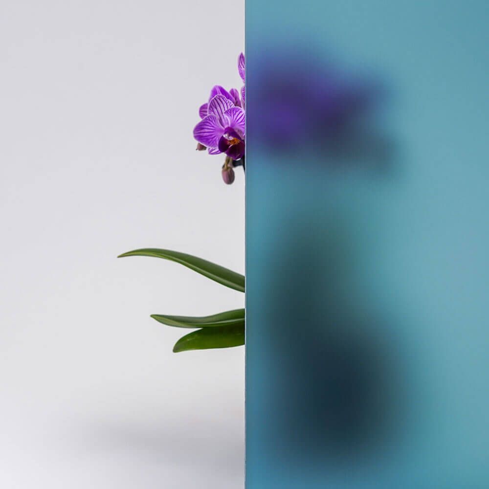 Orchideenblüte hinter mattiertem blauem Glas.