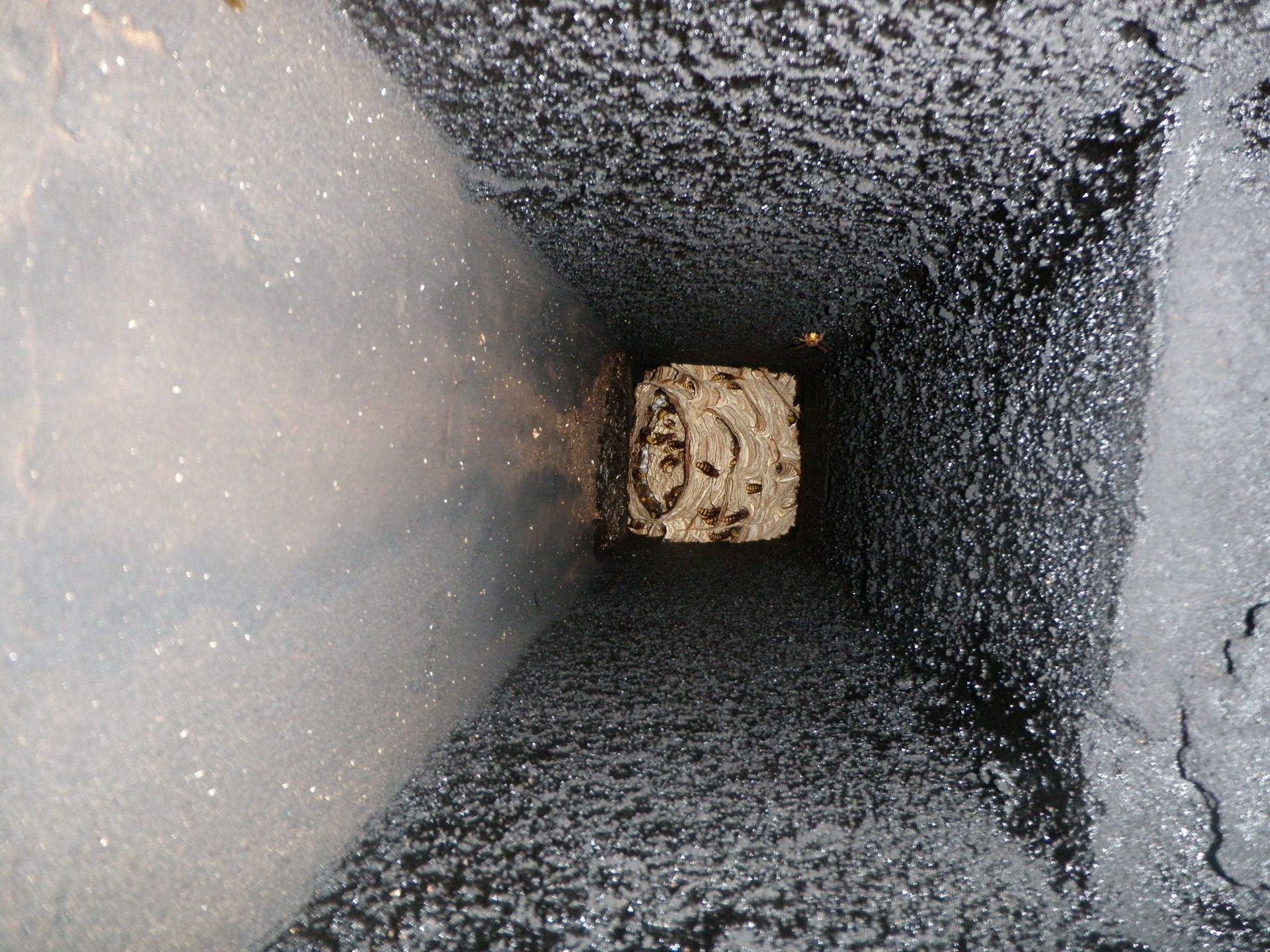 Kaminfegergeschäft Roger Spörri