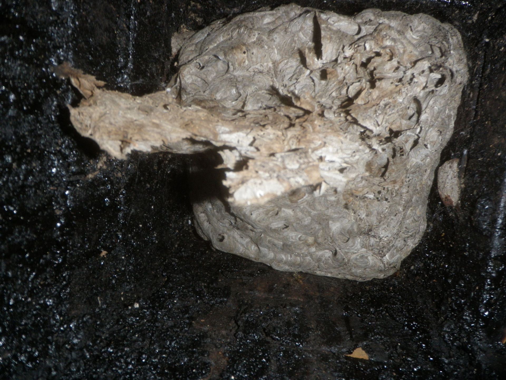 Kaminfegergeschäft Roger Spörri