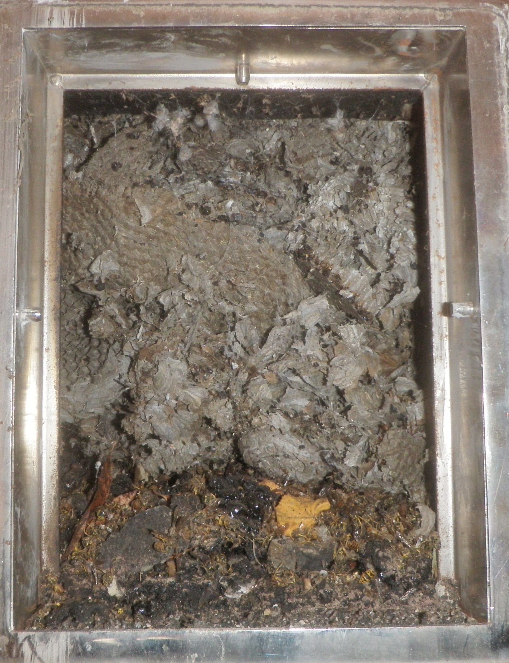 Kaminfegergeschäft Roger Spörri