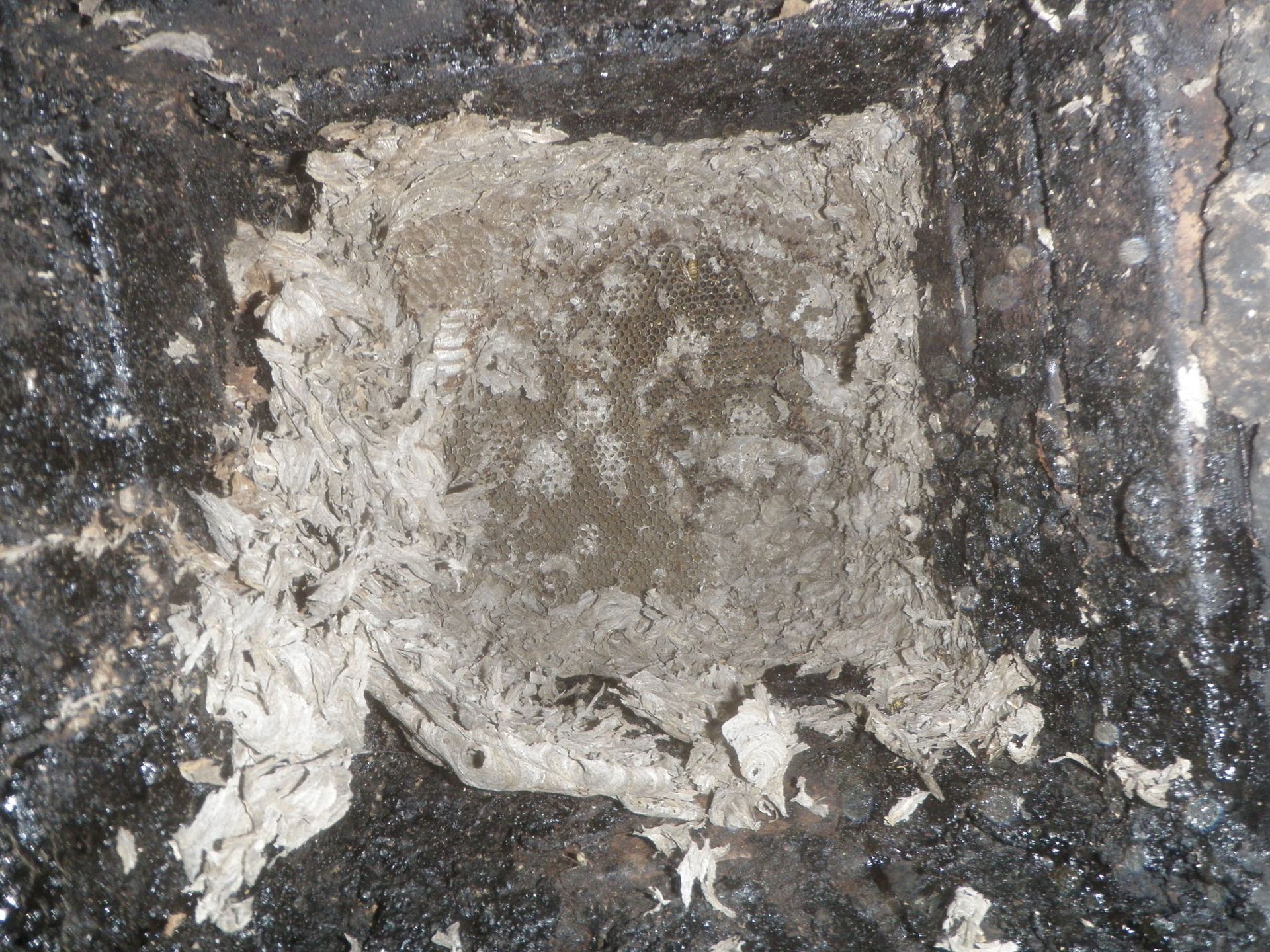 Kaminfegergeschäft Roger Spörri