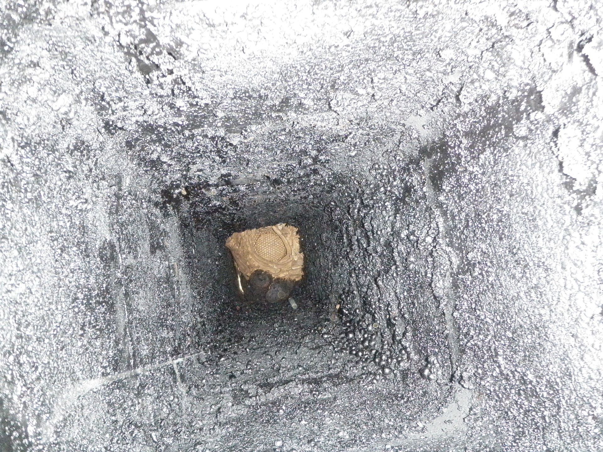 Kaminfegergeschäft Roger Spörri