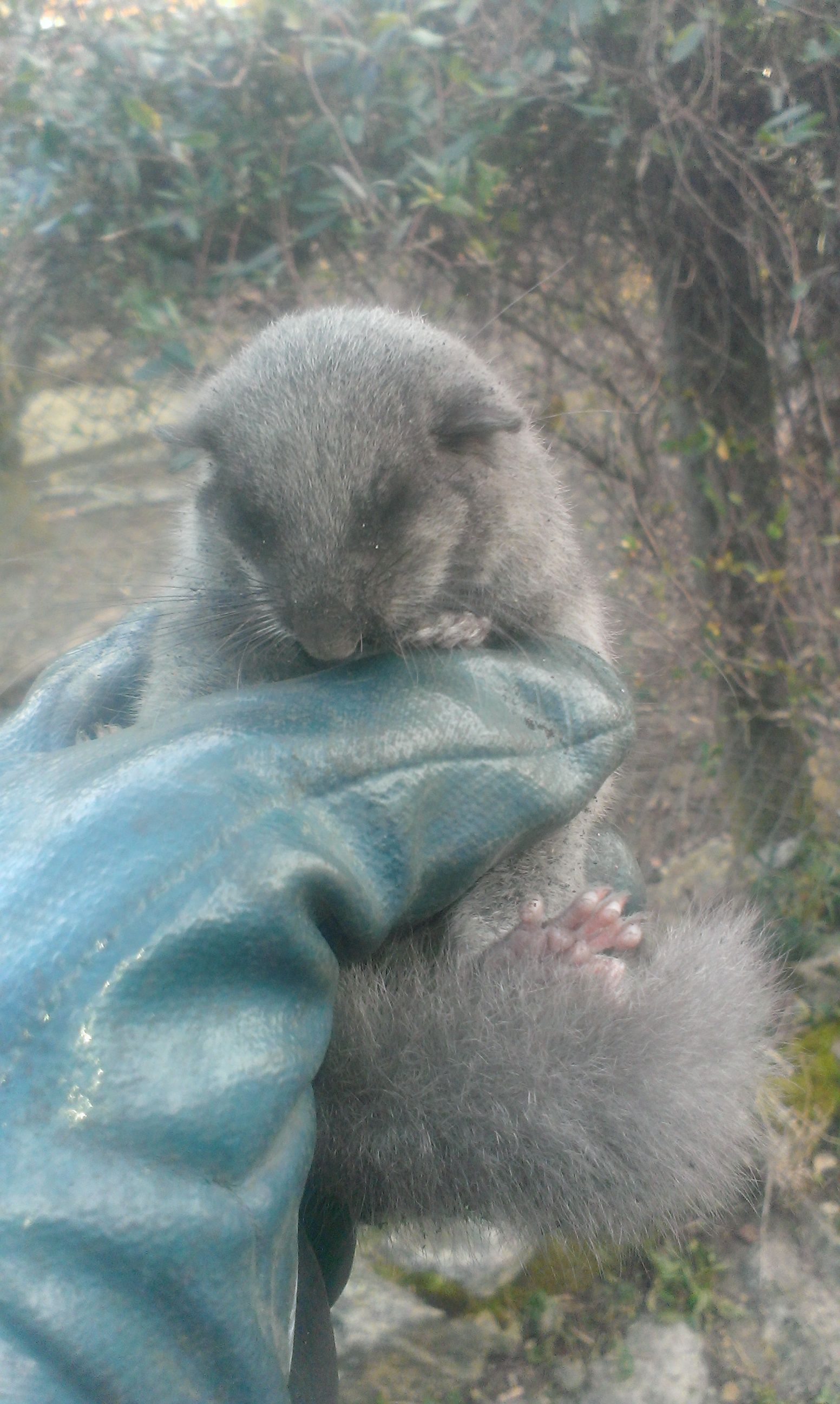 Kaminfegergeschäft Roger Spörri