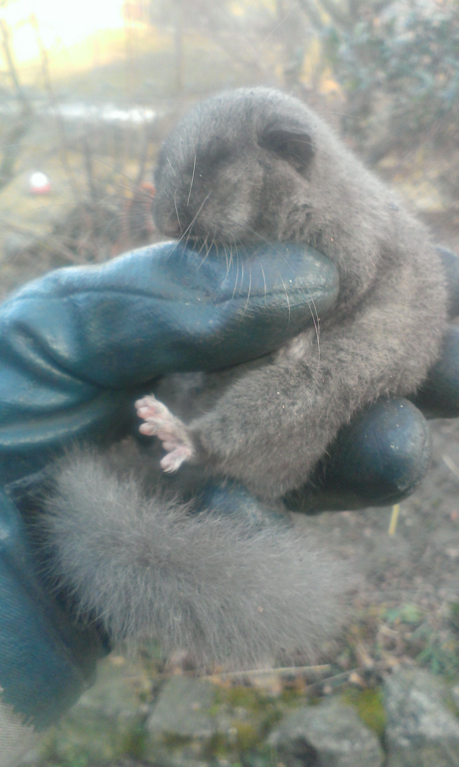 Kaminfegergeschäft Roger Spörri