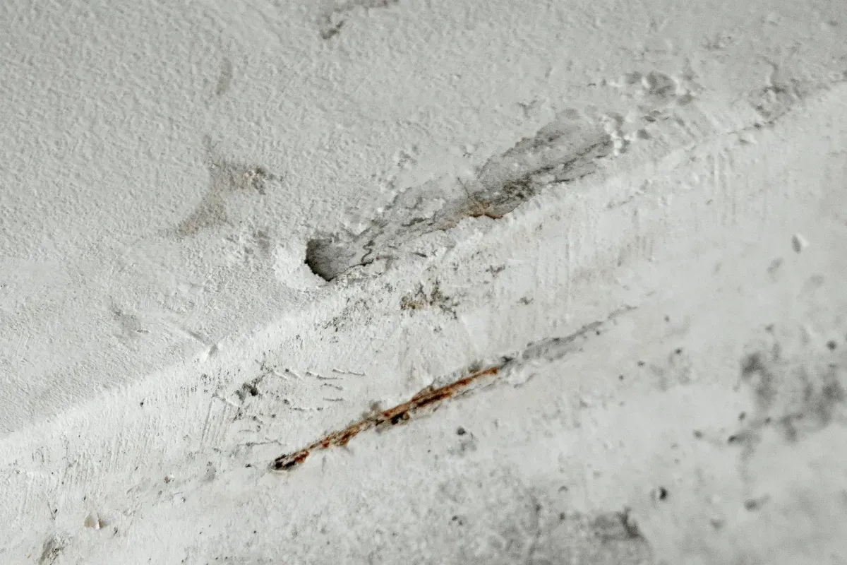 Fondo gris claro sólido.