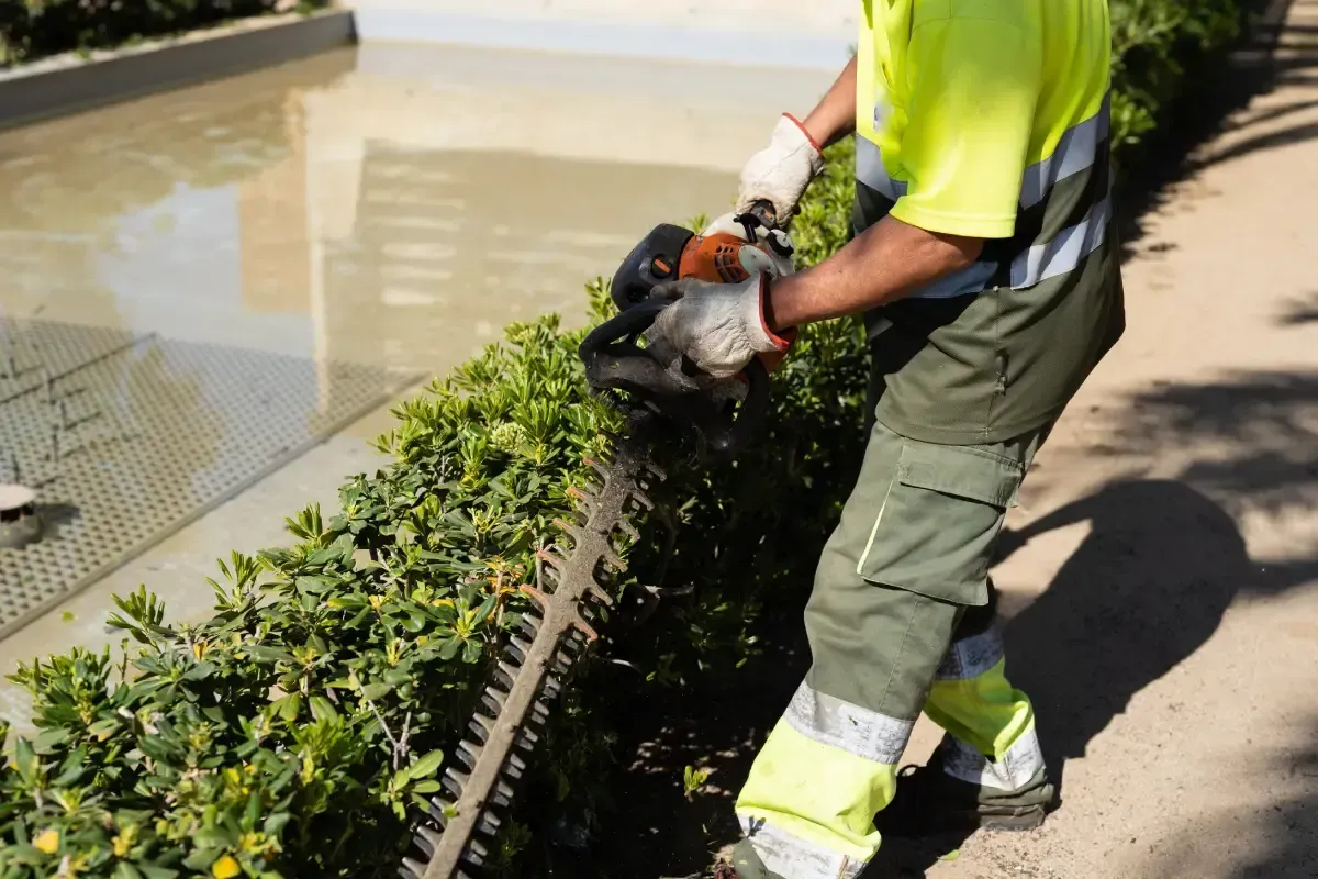 Fondo gris claro sólido.