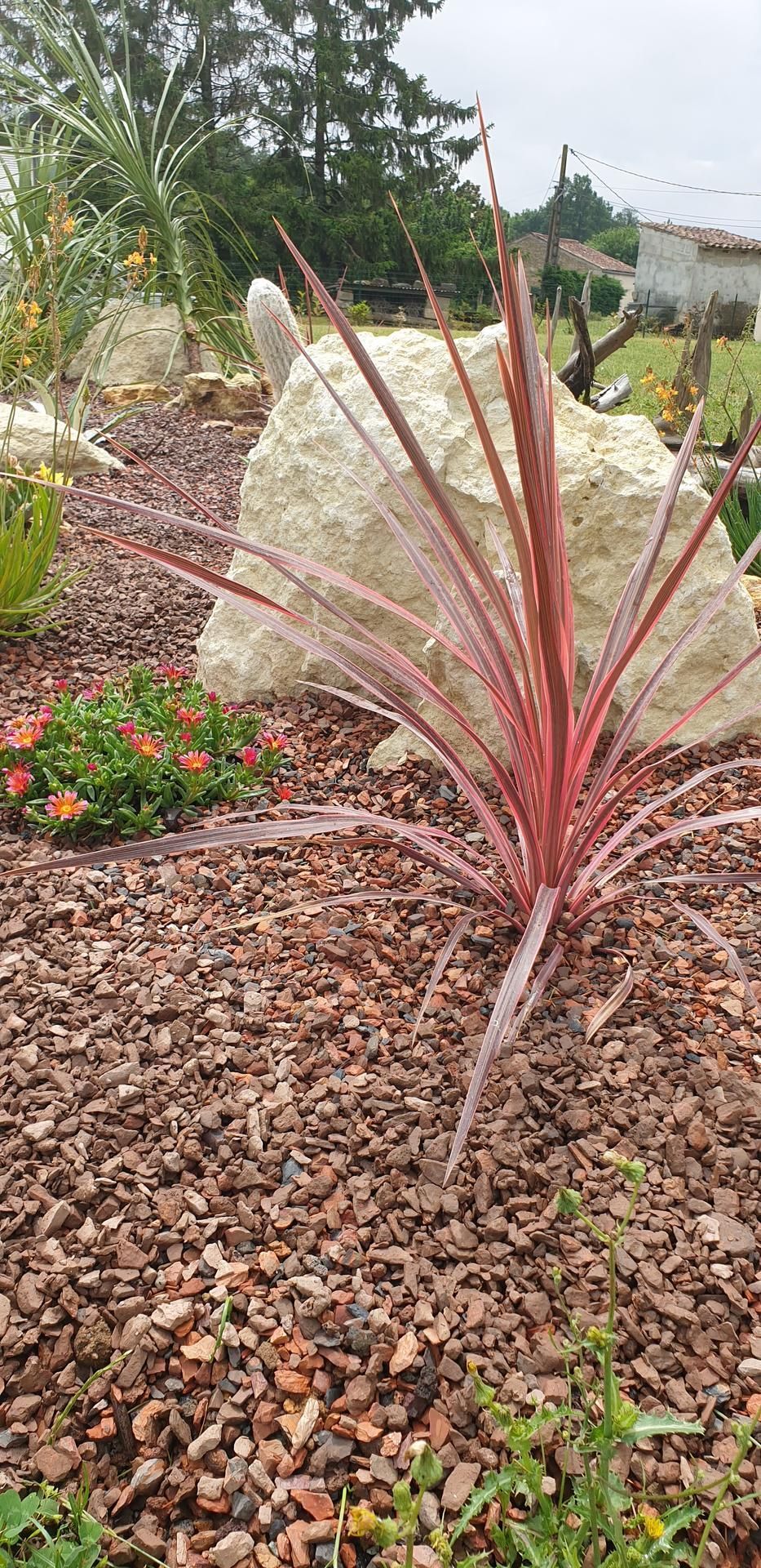 Aménagement paysager avec des plantes