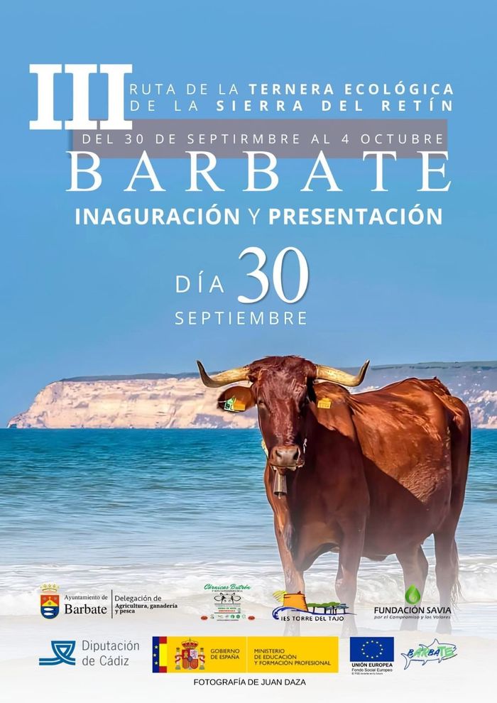 Cartel del 