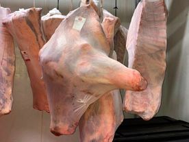 Trozos de carne cruda colgados, envueltos en material protector, probablemente en una carnicería o en una instalación de procesamiento de carne.
