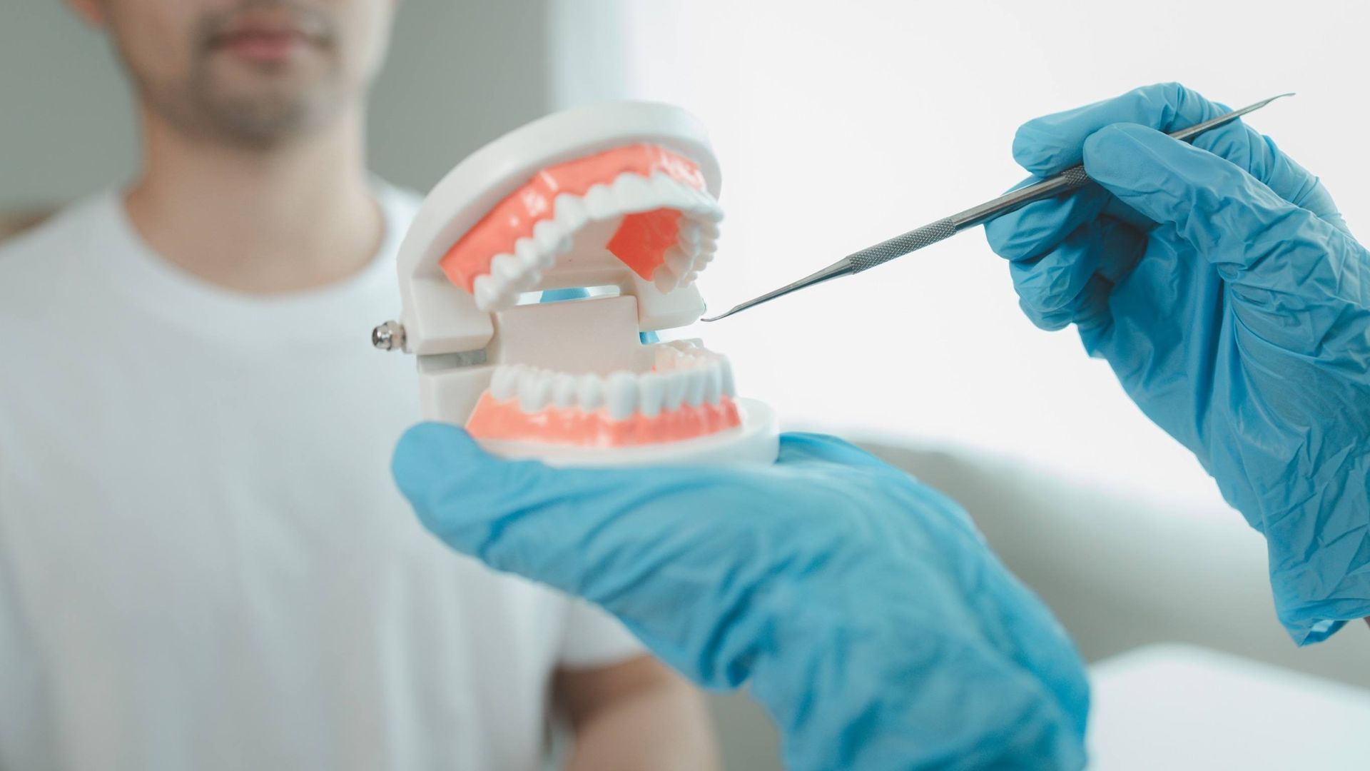 Un dentista está examinando un modelo de los dientes de un hombre.