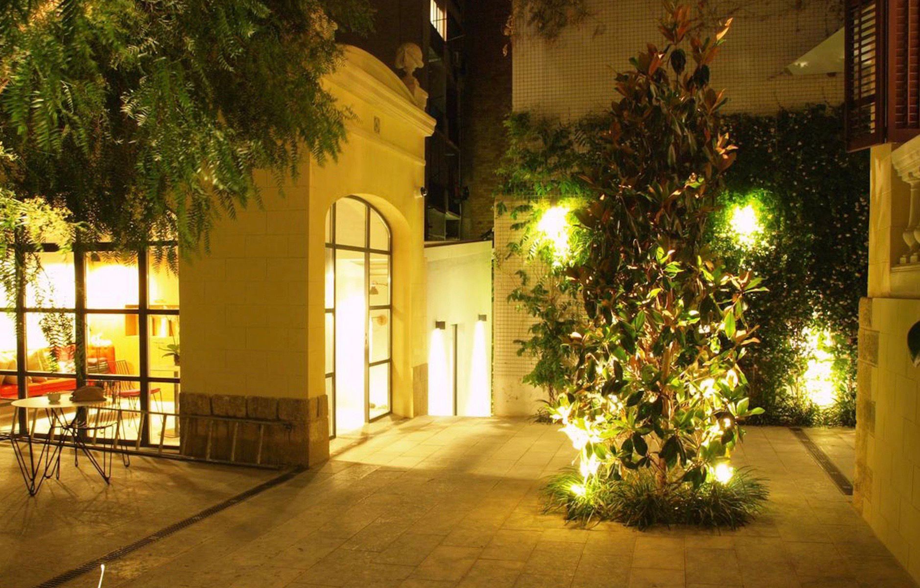 Un árbol se ilumina en medio de un patio por la noche.