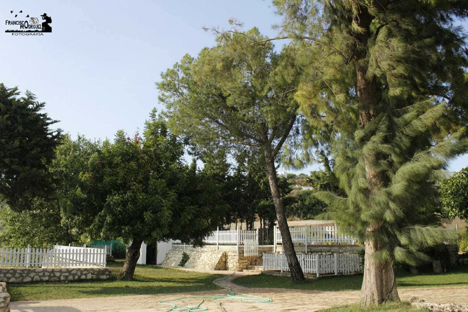 Los árboles enmarcan un edificio blanco con una pequeña valla, situado en una zona cubierta de hierba bajo un cielo azul.