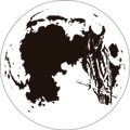 Logotipo de búho sobre el texto “OTVS COLLECTION” sobre un fondo blanco.
