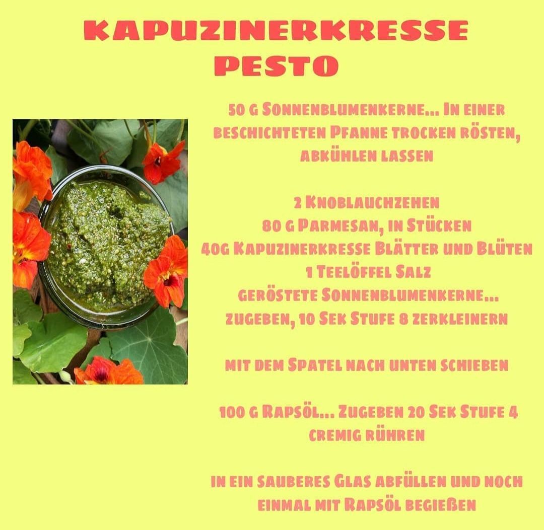 Rezept für Kapuzinerkresse-Pesto auf Deutsch, inklusive Zutaten und Anleitung.
