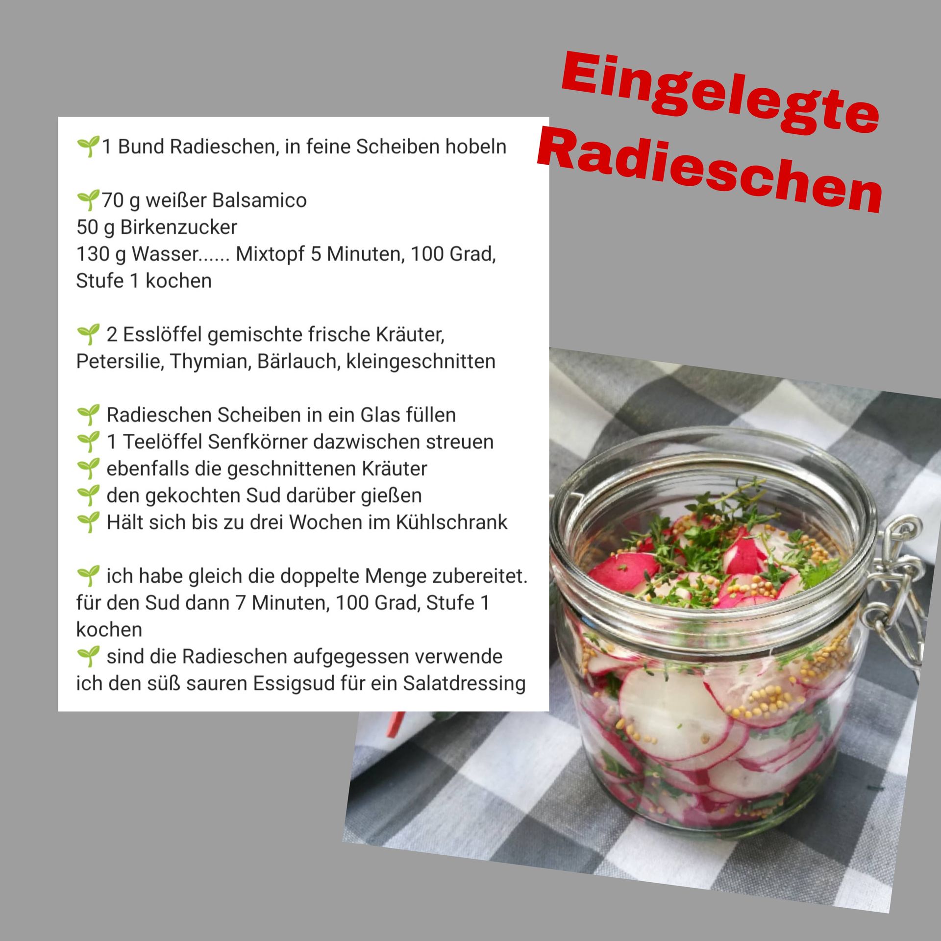 Glas mit eingelegten Radieschen und Rezepttext.