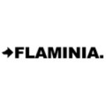 logo flaminia