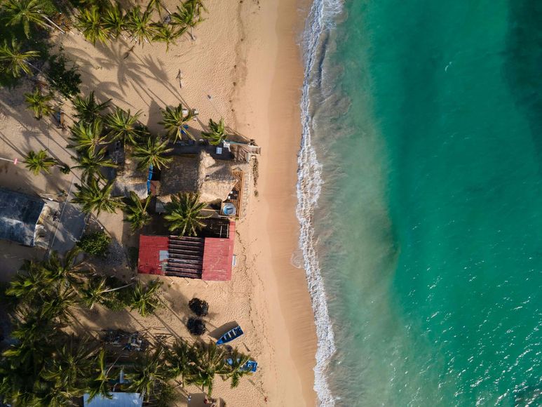 Aerial view of a tropical beach with palm trees, thatched huts, and turquoise water washing ashore in Antigua.