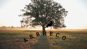 Grand arbre dans un champ ensoleillé au lever du soleil, avec l'inscription « ABBRECO » en arc de cercle en dessous.