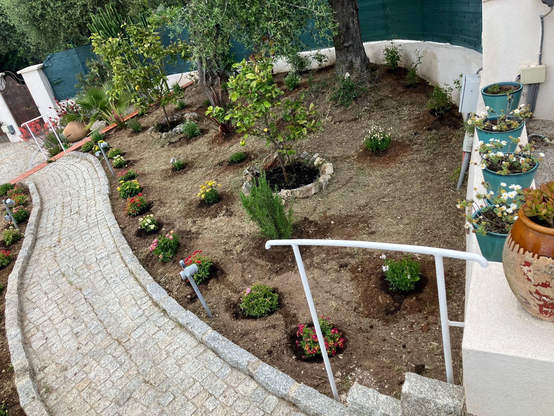 Allée de pierre sinueuse longeant un parterre de paillis agrémenté de petites plantes et d'arbres, vue depuis une véranda
