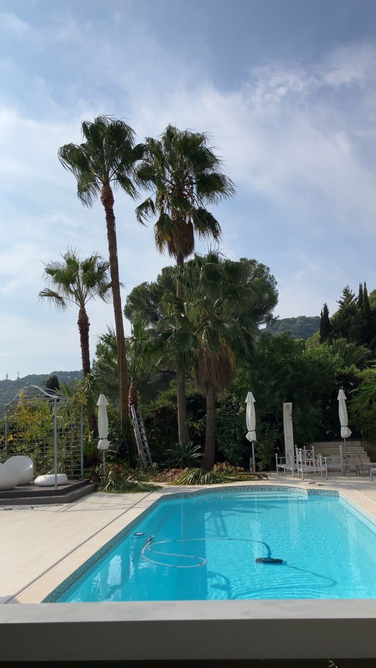 Piscine dans le jardin avec palmiers et chaises longues sous un ciel partiellement nuageux